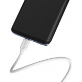 BOROFONE BX14 LinkJet USB Cable Type-C L 2M - White