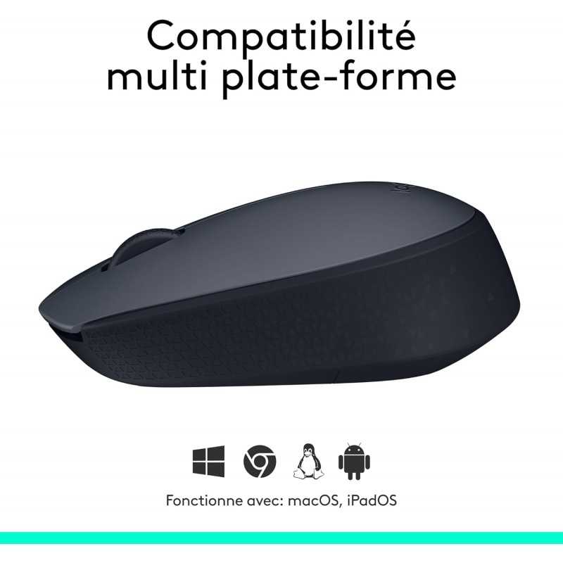 Logitech Souris sans fil M170, 2,4 GHz avec nano-récepteur USB, suivi optique, autonomie de 12 mois, ambidextre,