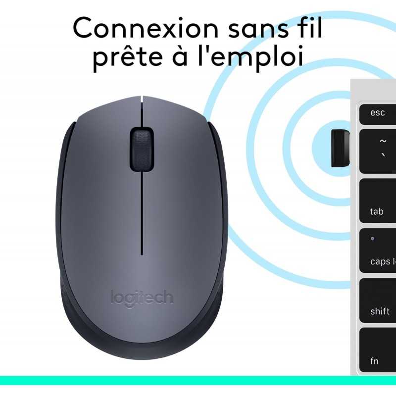 Logitech Souris sans fil M170, 2,4 GHz avec nano-récepteur USB, suivi optique, autonomie de 12 mois, ambidextre,