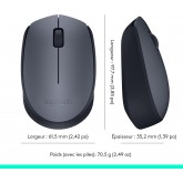 Logitech Souris sans fil M170, 2,4 GHz avec nano-récepteur USB, suivi optique, autonomie de 12 mois, ambidextre,