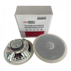 Enceinte de Plafond Encastrable Dynata CLS MAH-12434A