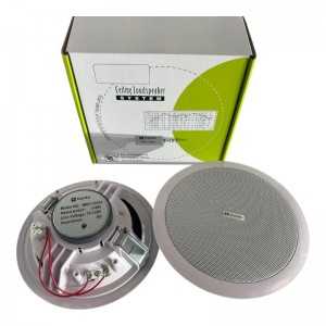 Enceinte de Plafond Encastrable Dynata MAH-12434