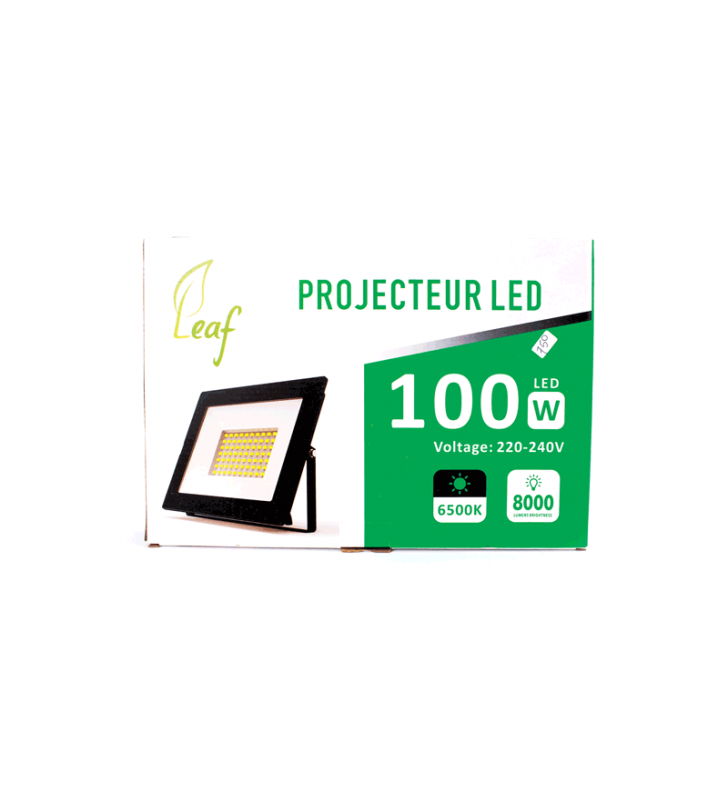 projecteurs led 100w