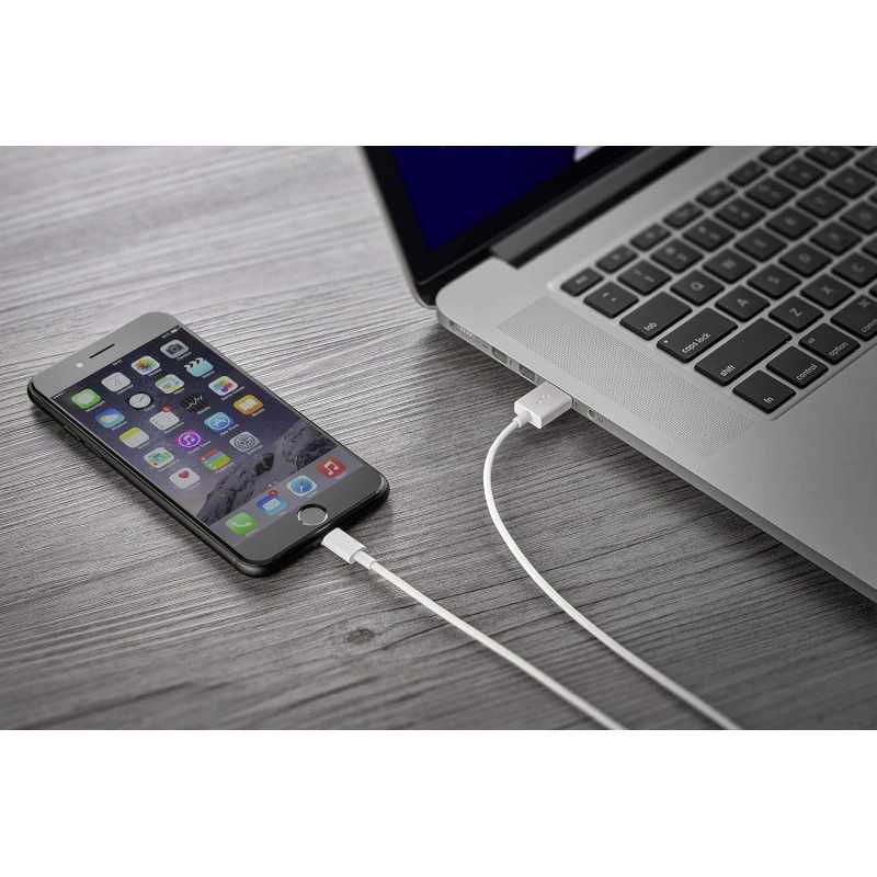 Bolt Câble Lightning vers USB-C type C pour iPhone 1 m