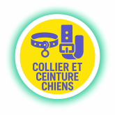 Tous Type et modèles de Colier et Ceinture Chiens